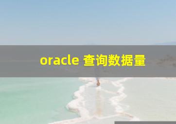 oracle 查询数据量